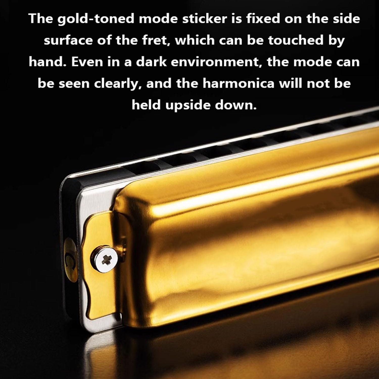 Amazon.co.jp: SciAza ハーモニカ ブルースハープ クロマチック